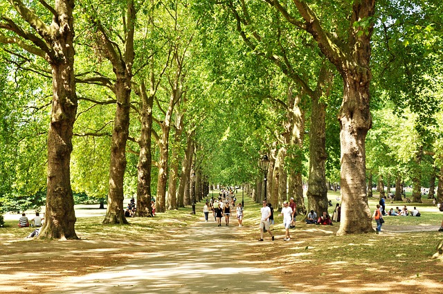 Public park in London - The Carlton Tavern Hotel